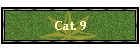 Cat. 9