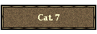Cat. 7