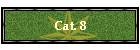 Cat. 8