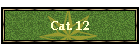 Cat. 12