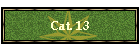 Cat. 13