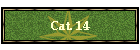 Cat. 14