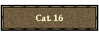 Cat. 16