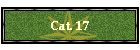 Cat. 17