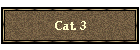 Cat. 3